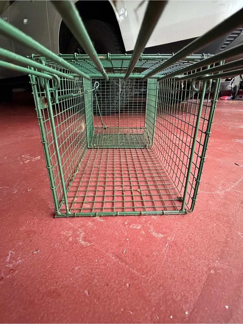 Duke Traps HD Large Cage Trap with Top Carry Handle